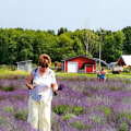 The Vibrant Community Events and Festivals Hosted by Churches in Wayne County, Michigan