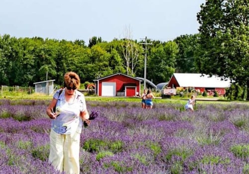 The Vibrant Community Events and Festivals Hosted by Churches in Wayne County, Michigan